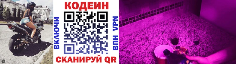 купить   Луга  Кодеиновый сироп Lean Purple Drank 