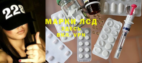 дмт Бородино