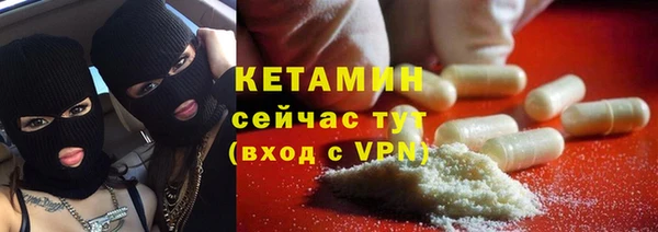 дмт Бородино