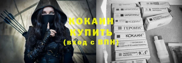 дмт Бородино