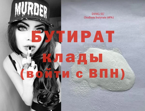 дмт Бородино