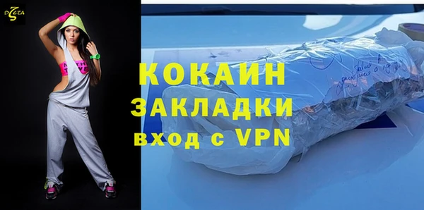 дмт Бородино