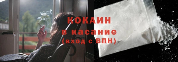 дмт Бородино