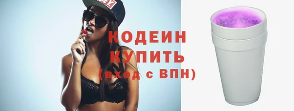 дмт Бородино