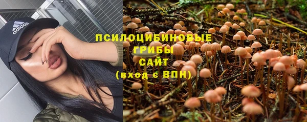 дмт Бородино