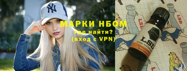 дмт Бородино