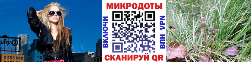Псилоцибиновые грибы мицелий  Луга 